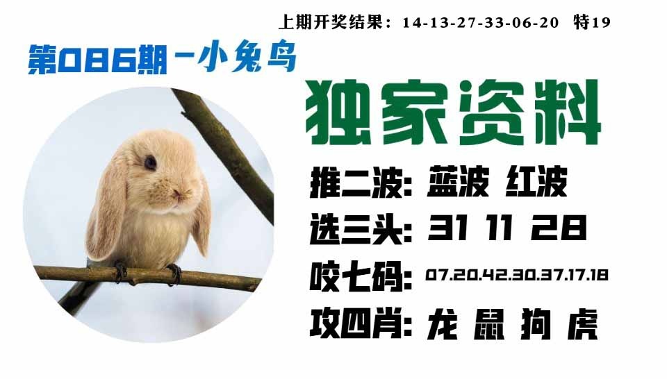 086期小兔鸟[图]